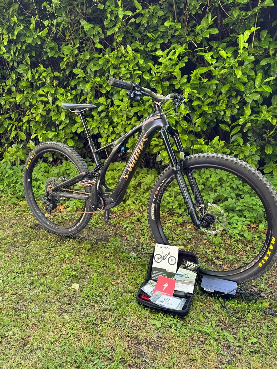 Electric S Works Turbo SL - Image 1