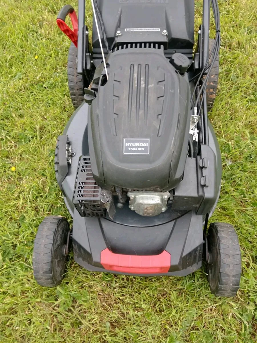 Lawnmowers - Image 4