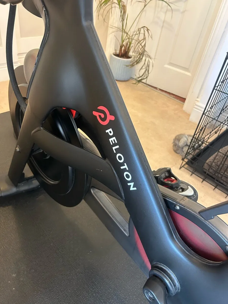 Peloton - Image 4