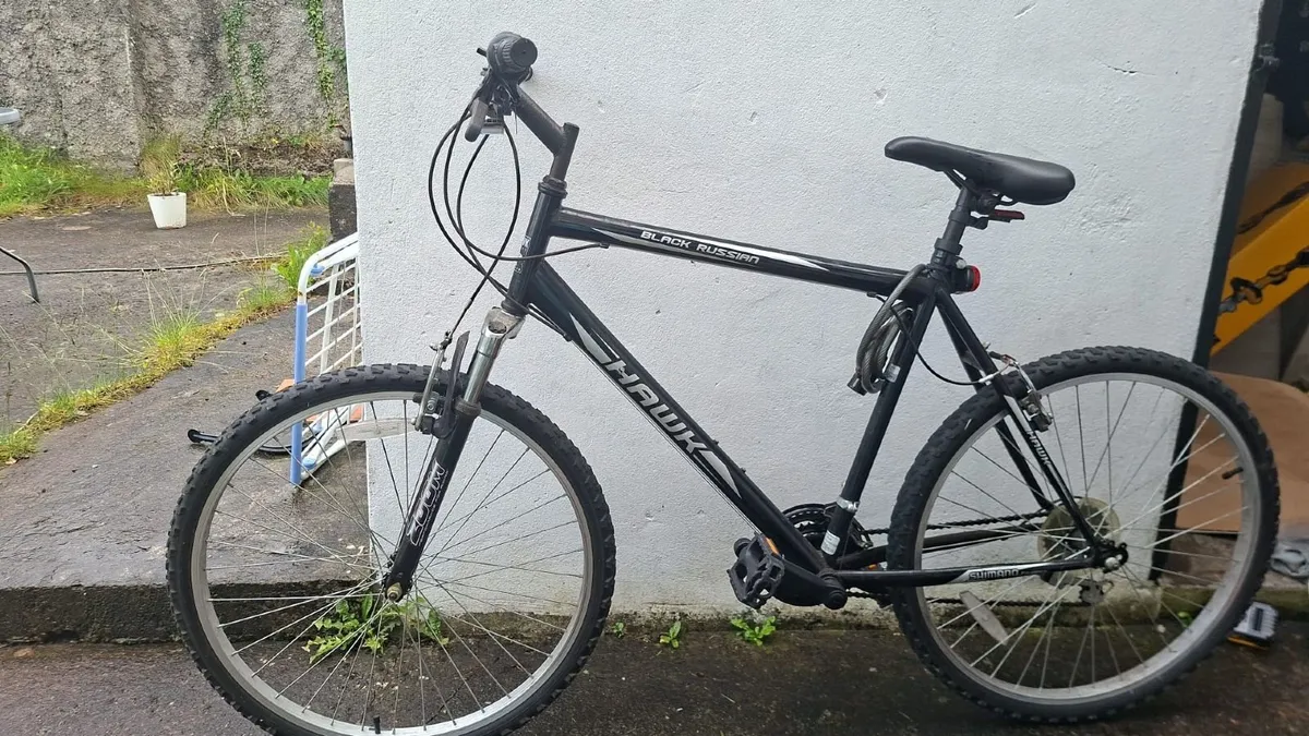 Hawk Black Russian Bicycle - Image 1