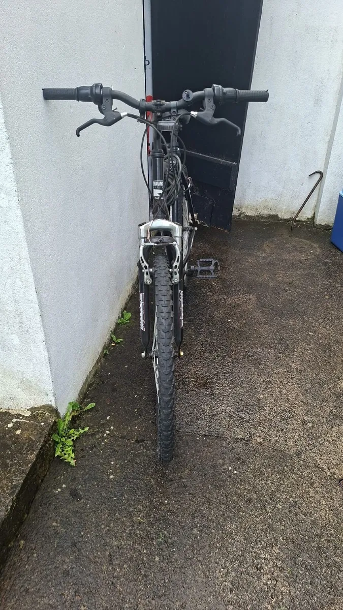 Hawk Black Russian Bicycle - Image 2
