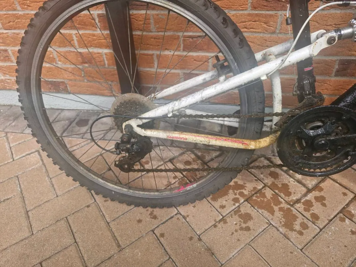 Bike - Image 2
