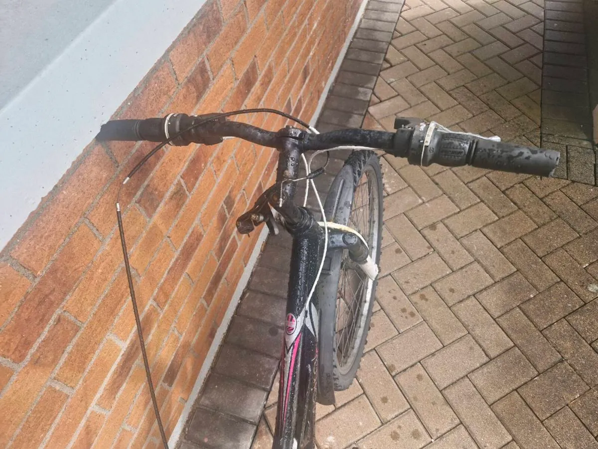 Bike - Image 3