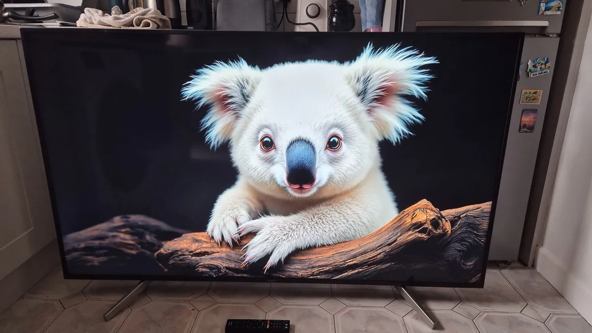 Sony Bravia 65" 4K Android Smart TV - Image 2