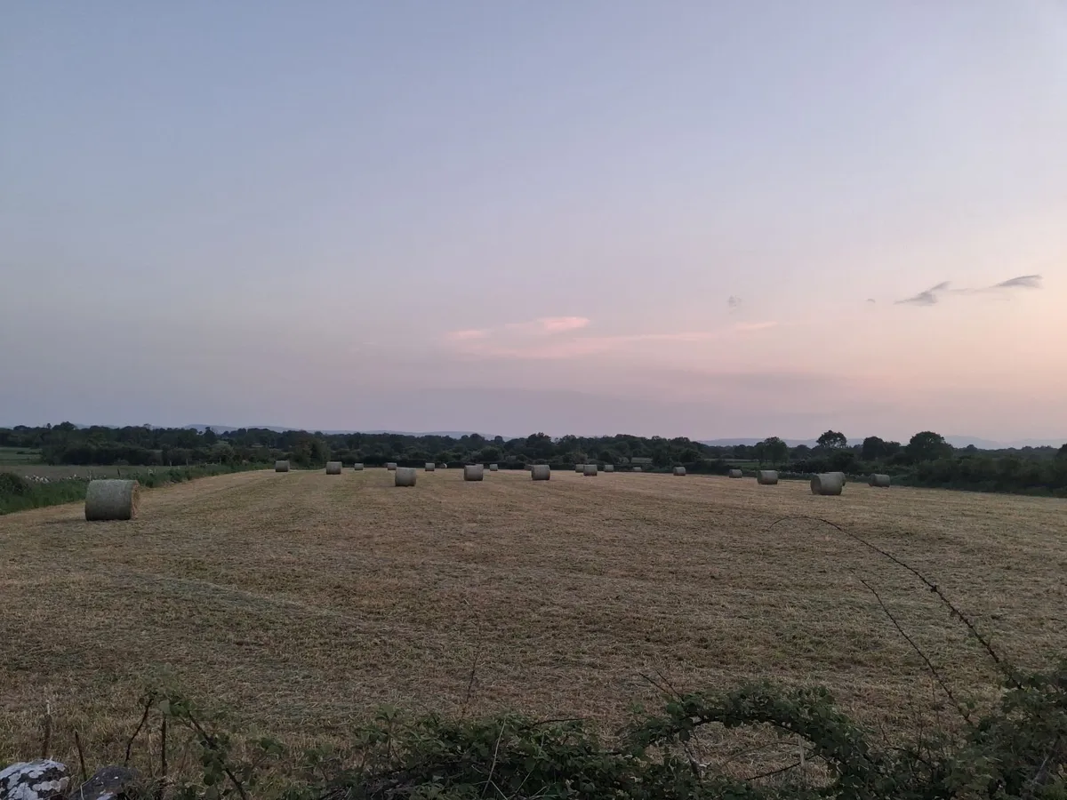 Round bales of Hay - Image 4