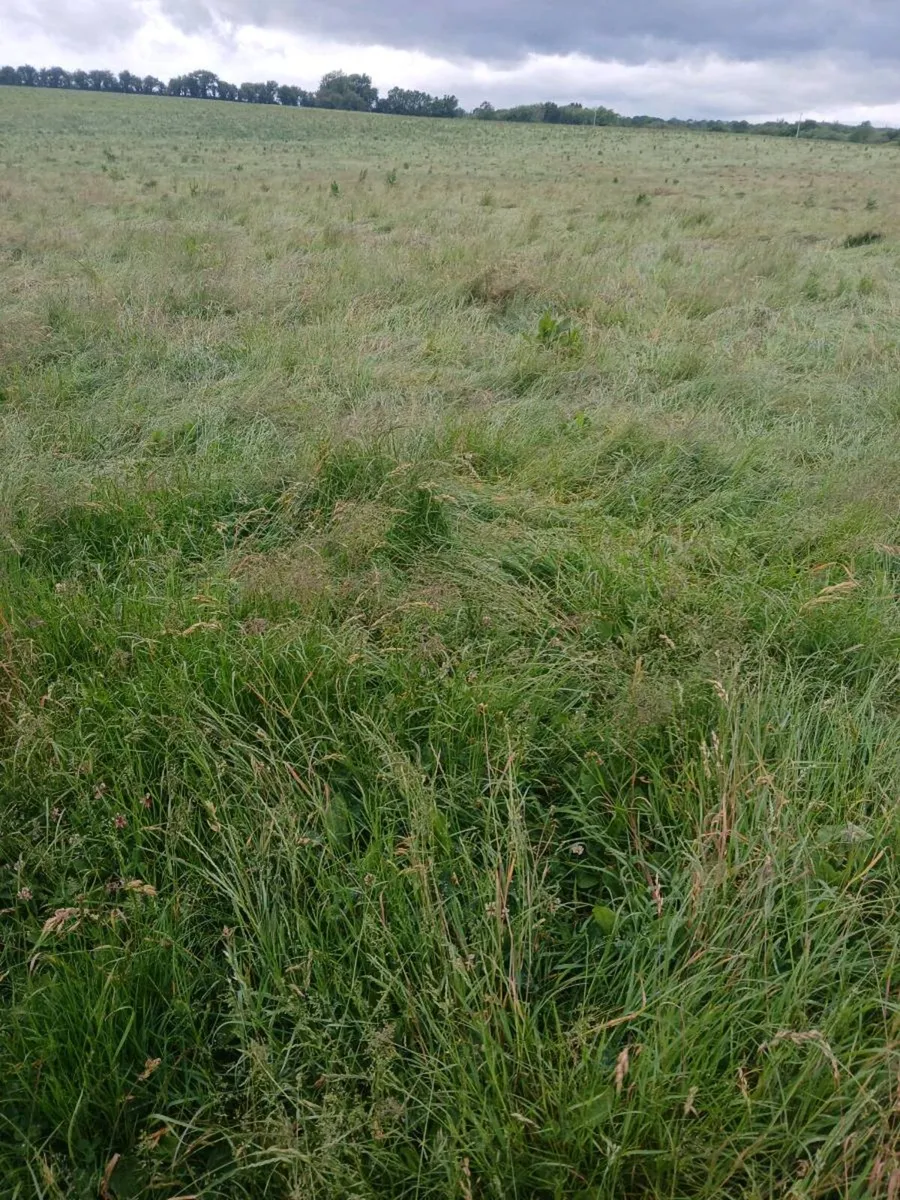 Silage