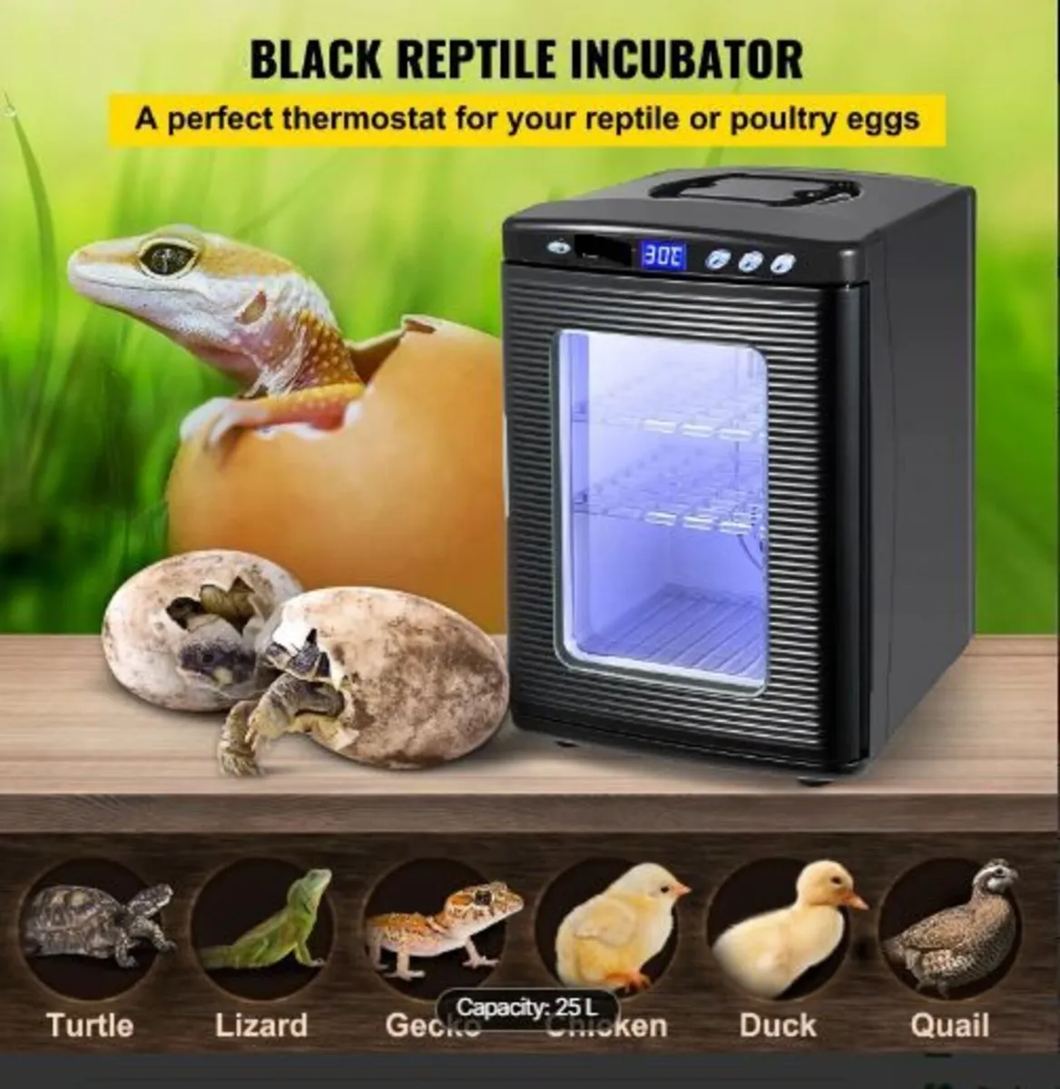 Black Reptile Incubator 25L Scientific Lab - Image 3