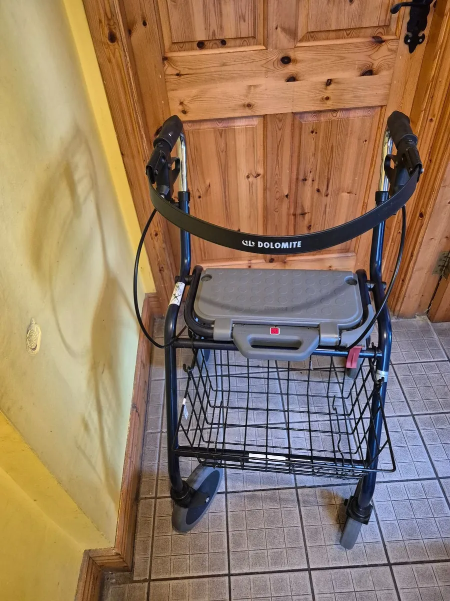 Mobility Walker