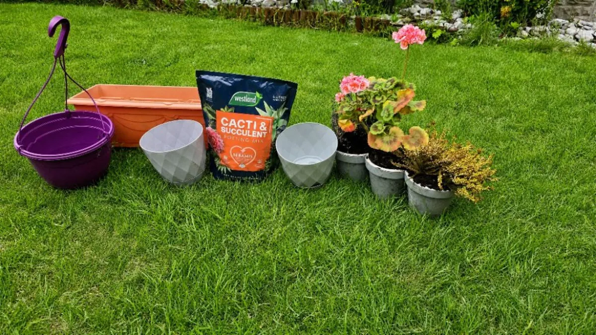 Gardening Bundle - Pots, Unopened Soil & plants