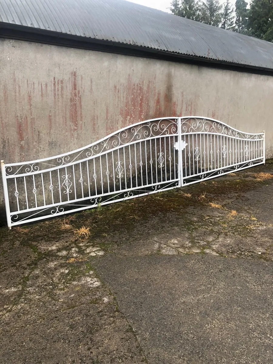 Heavy duty gates - Image 1