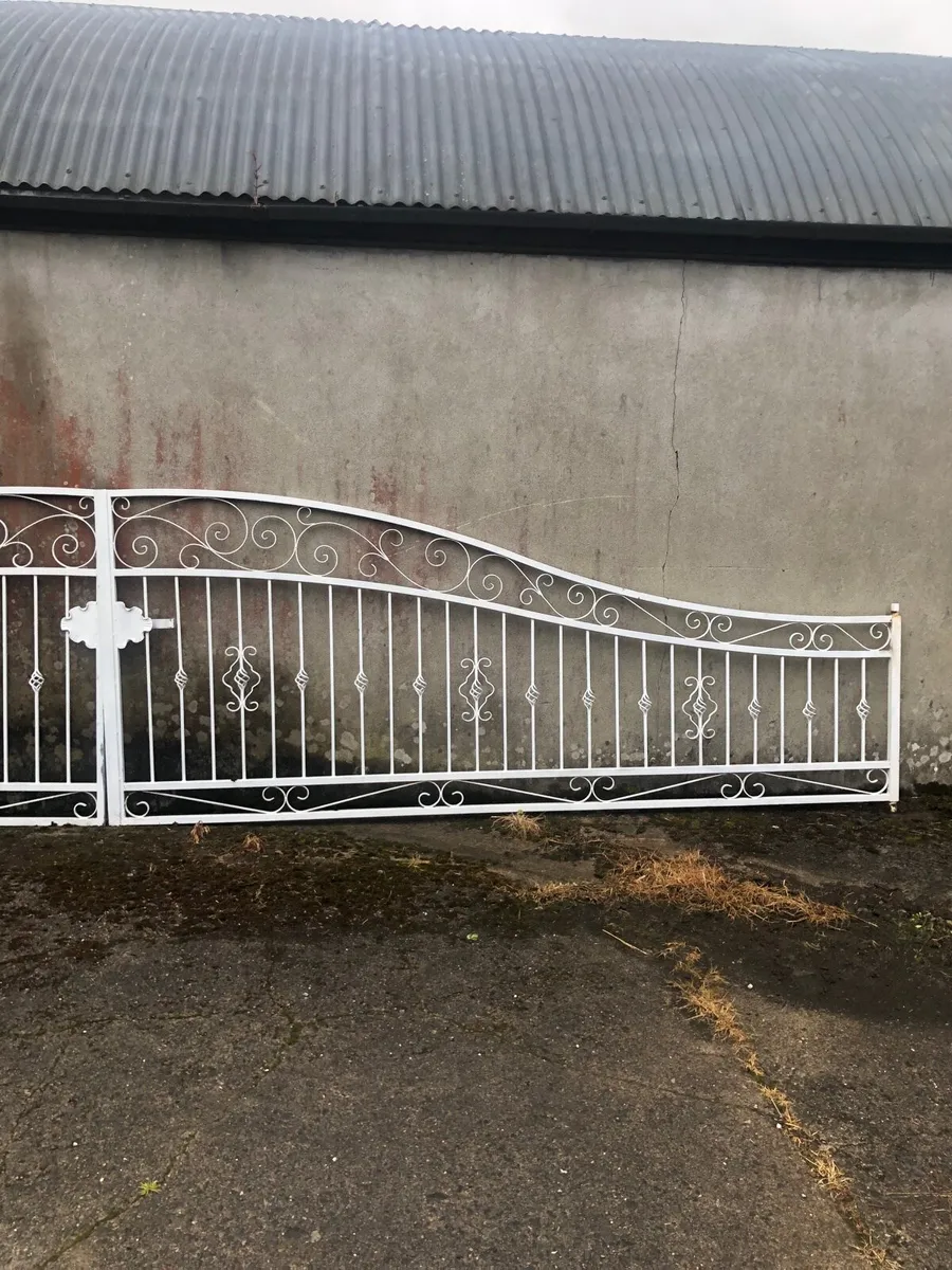 Heavy duty gates - Image 3