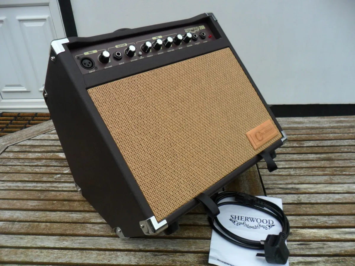 Acoustic Guitar Combo Amplifier - Image 1