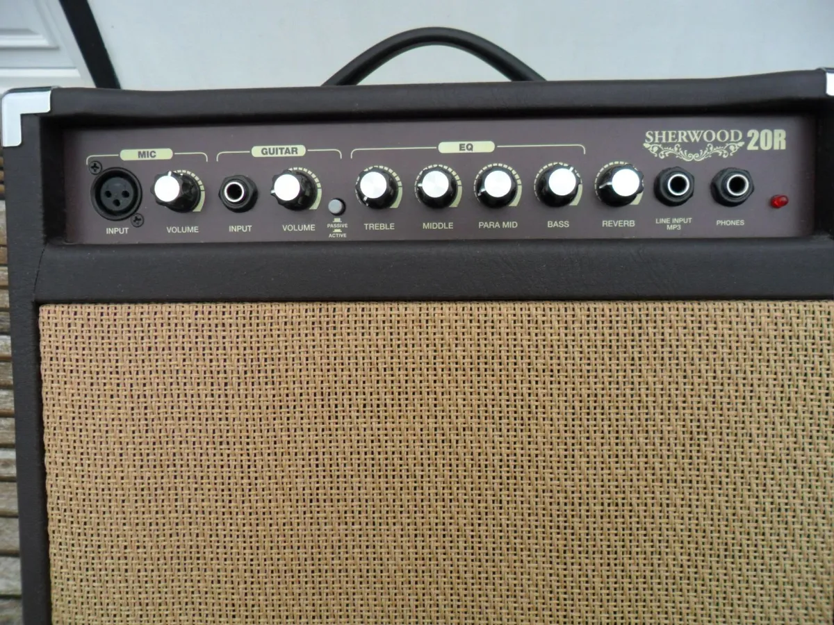 Acoustic Guitar Combo Amplifier - Image 2