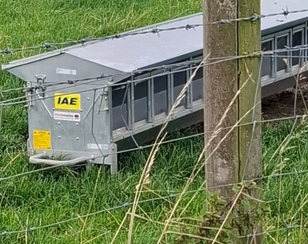 We sell Sheep Equipment, Ewe, Lamb & Ram - Image 3