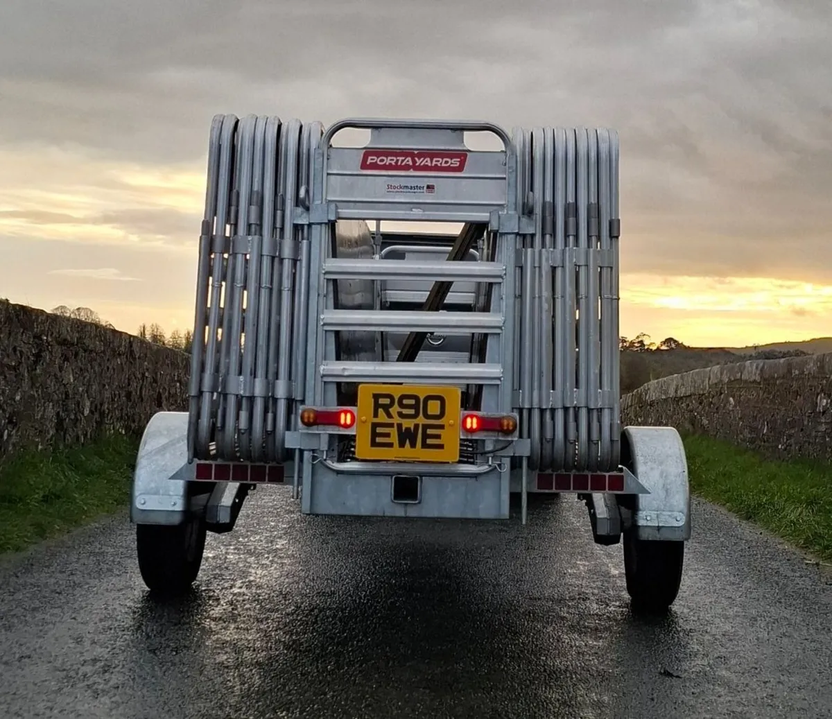 We sell Sheep Equipment, Ewe, Lamb & Ram - Image 4