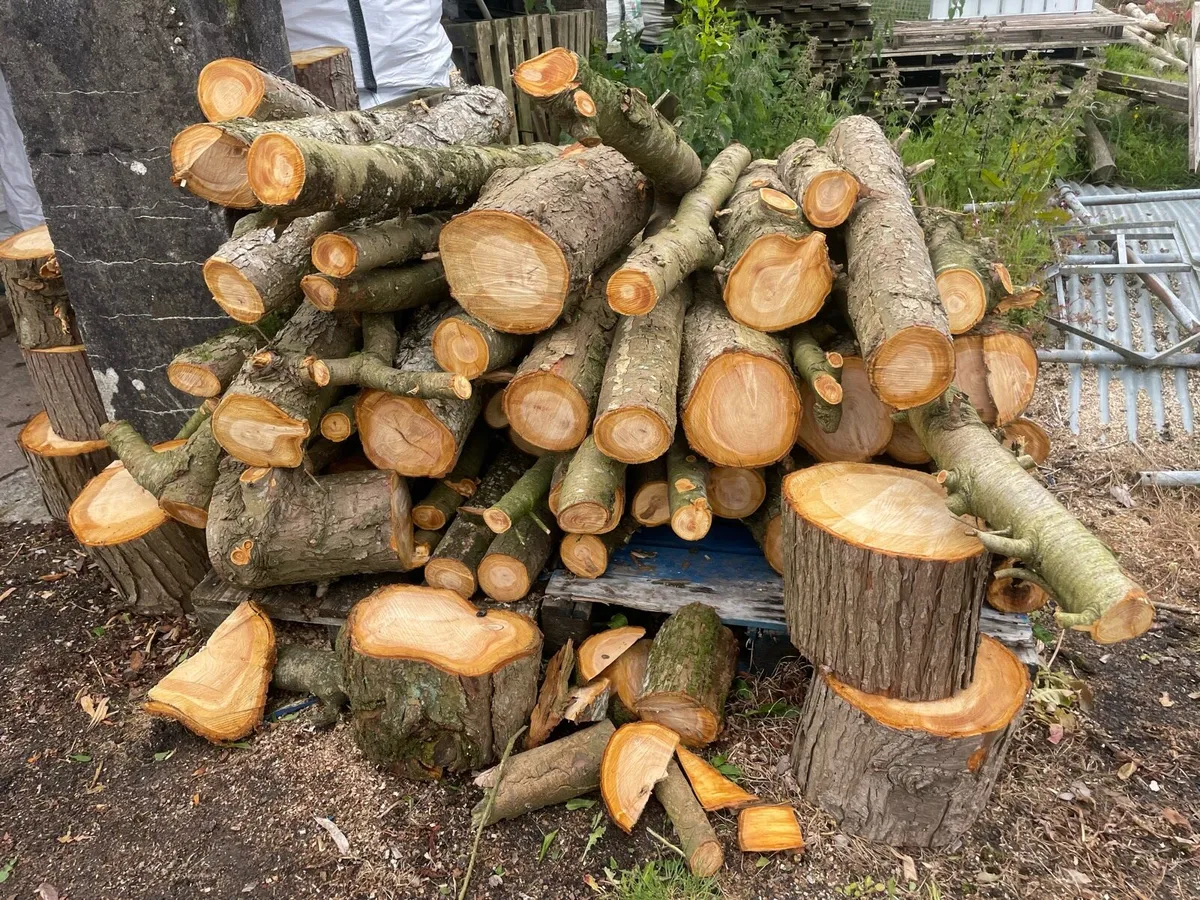 Softwood firewood - lengths and rings - Image 1