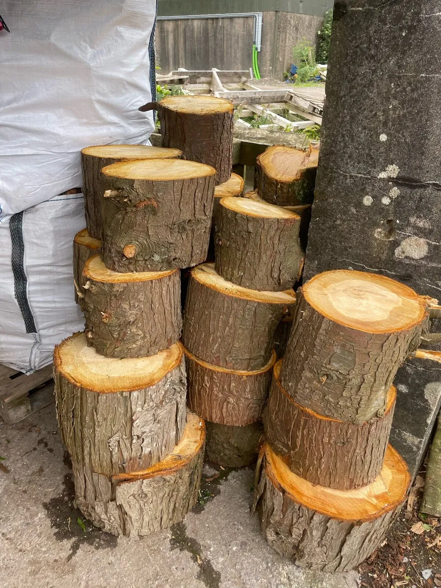 Softwood firewood - lengths and rings - Image 2