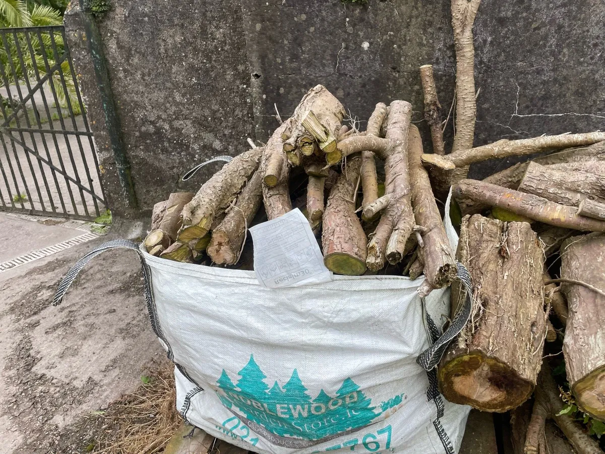 Softwood firewood - lengths and rings - Image 4