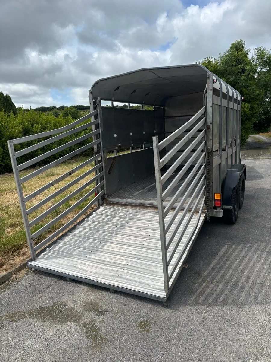 10x6 Ifor Williams cattle box - Image 3