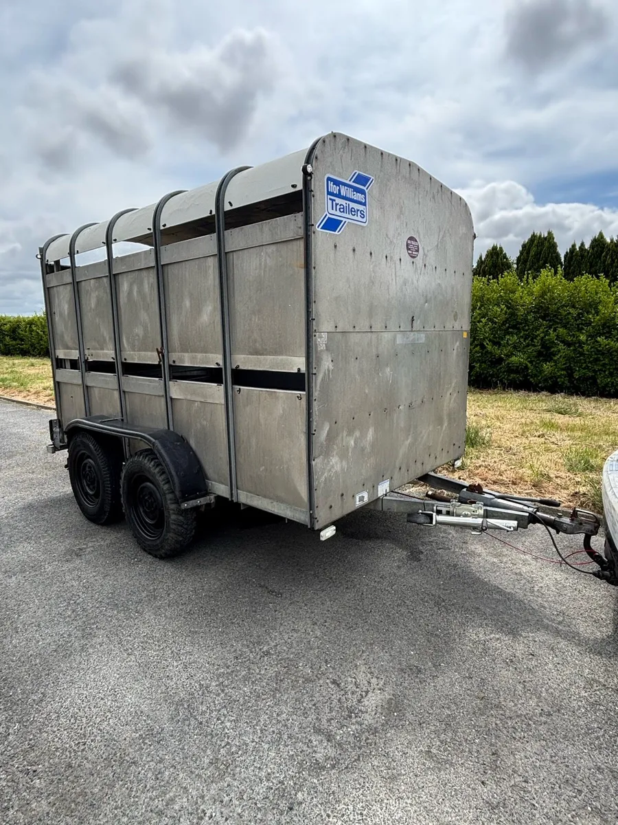 10x6 Ifor Williams cattle box - Image 1