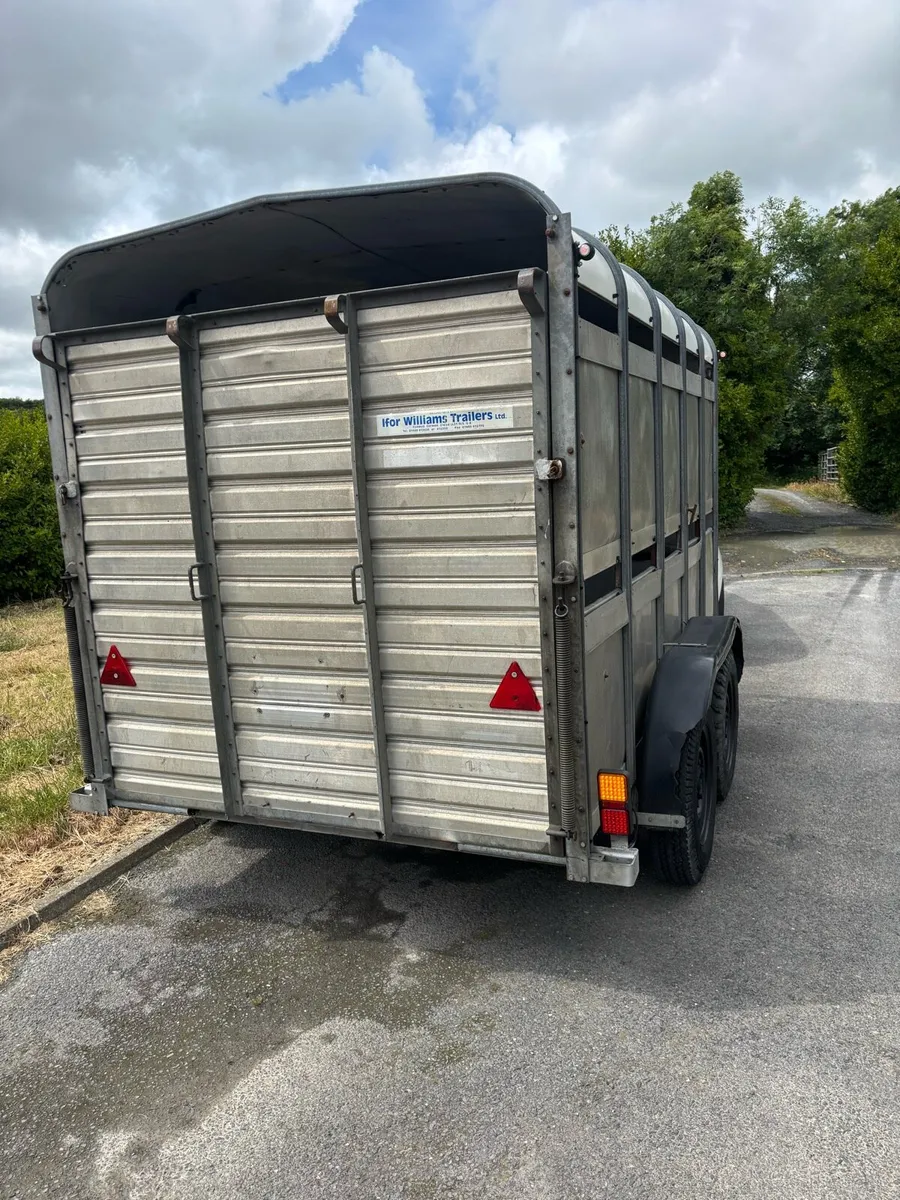 10x6 Ifor Williams cattle box - Image 2