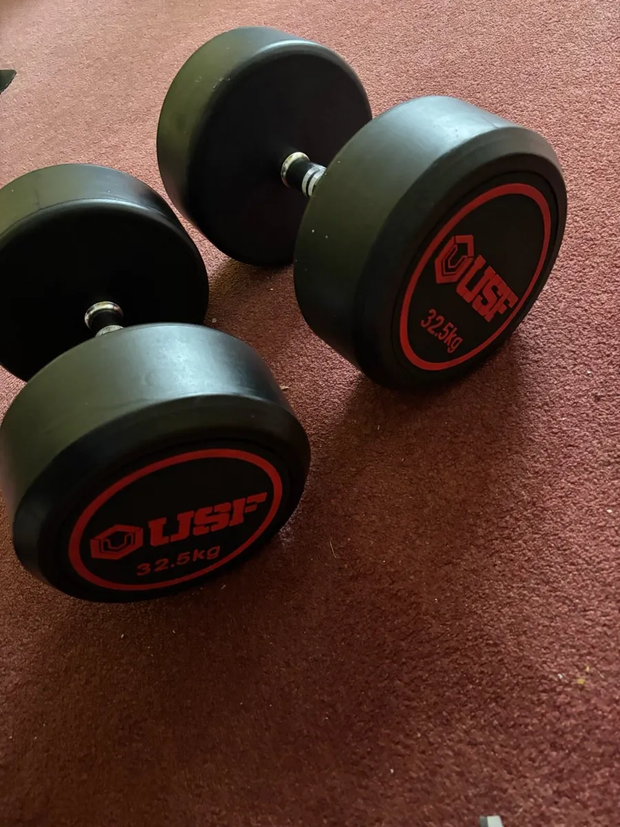 32.5kg USF Round Rubber Dumbell Pair - Image 3