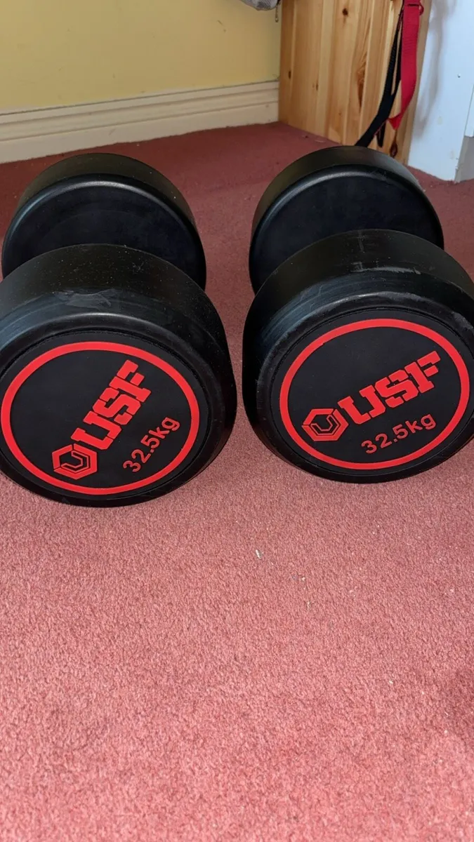32.5kg USF Round Rubber Dumbell Pair - Image 1