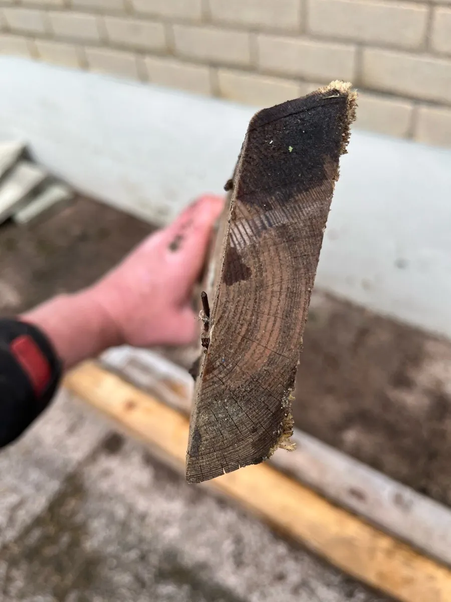 LARCH CLADDING.  85mm wide. DOUBLE BEVEL (not T&G) - Image 4