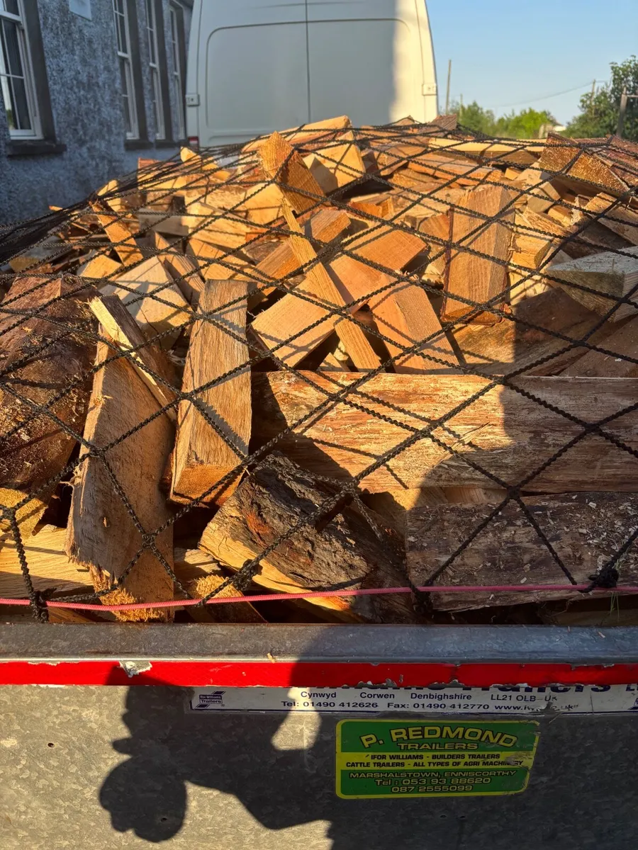 Fire wood - Image 2