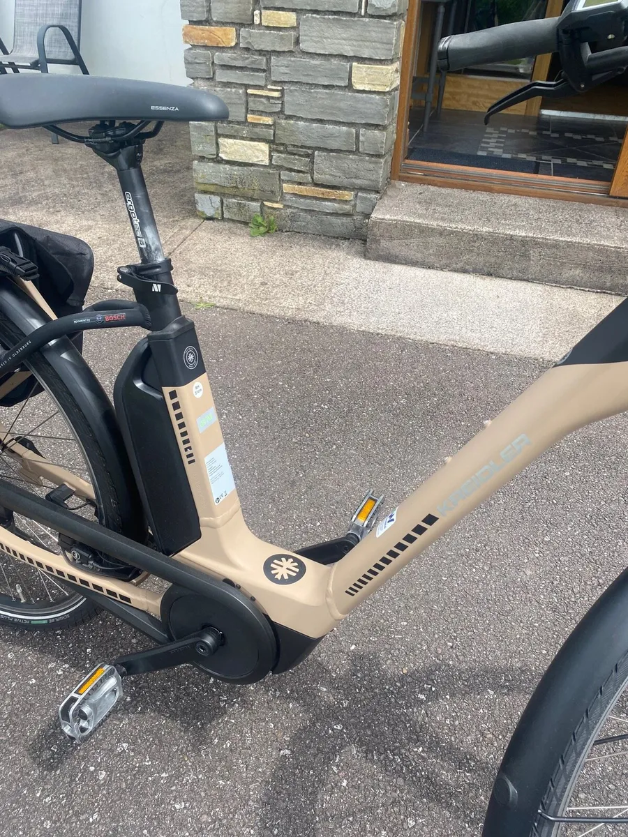 Electric Bike - Image 2