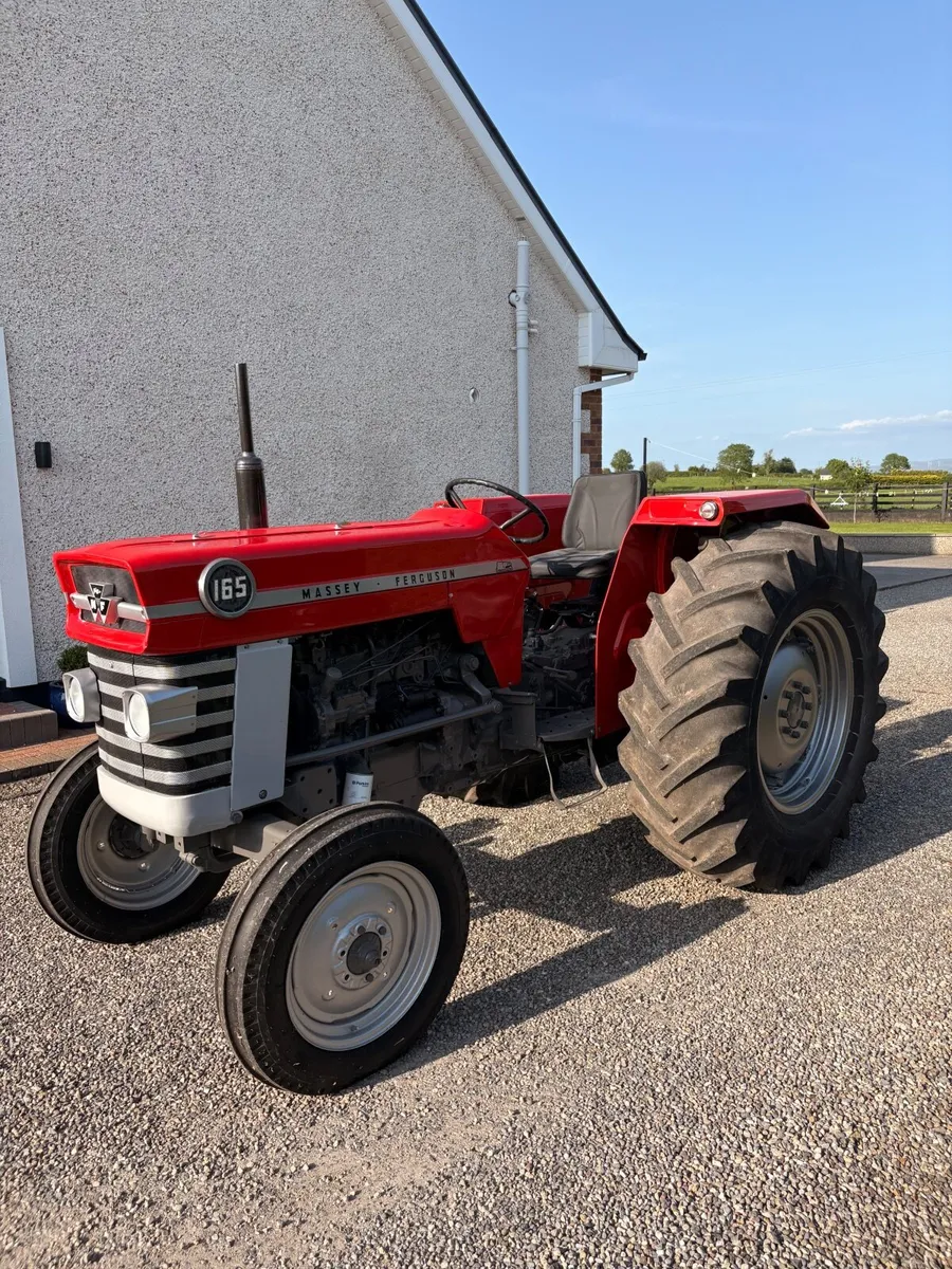 Massey Ferguson 165 - Image 4