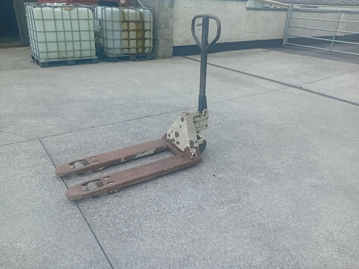 Pallet truck - Image 1