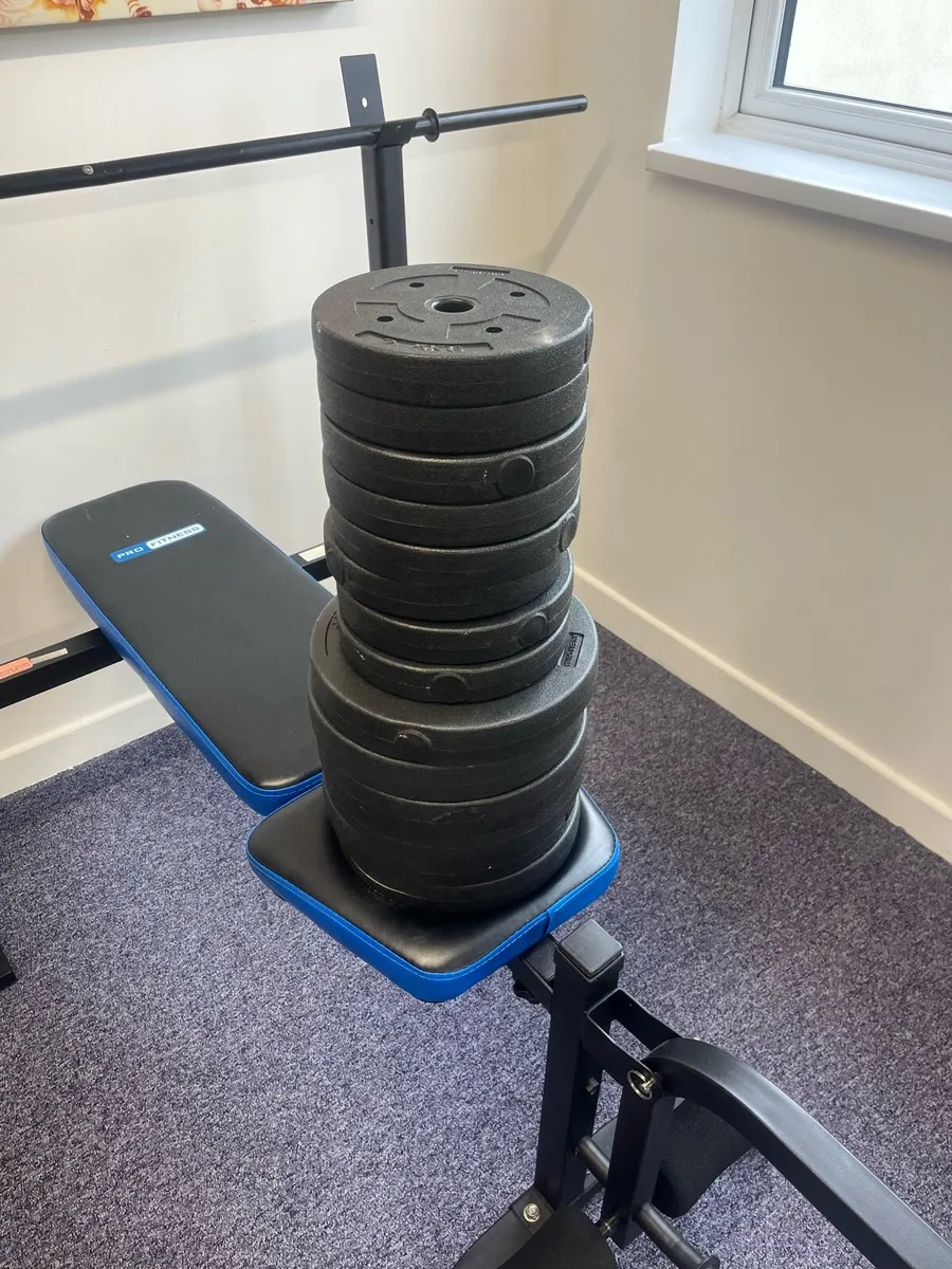Weights - Image 4