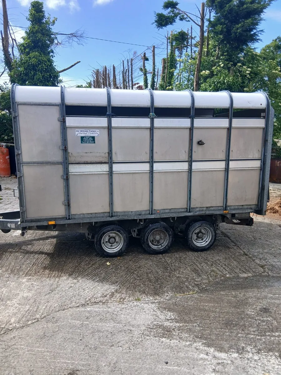 Ifor Williams. 12 x6ft6...all new tyres brakes lig - Image 1