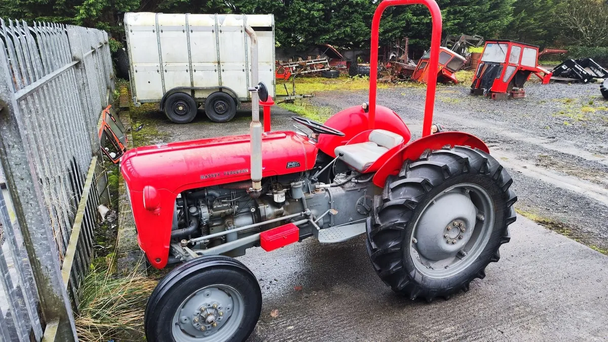 Massey Ferguson - Image 2
