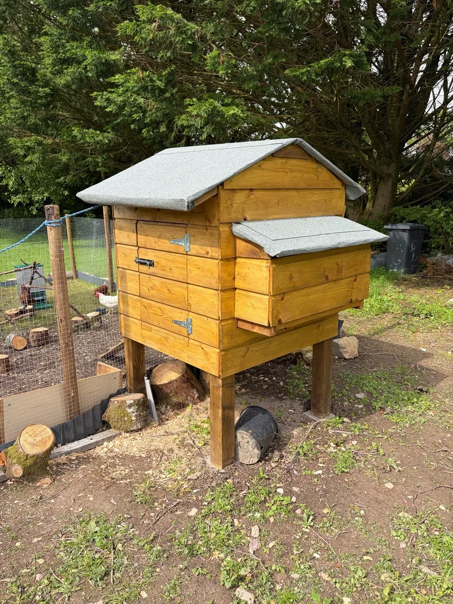 Chicken coop - Image 1