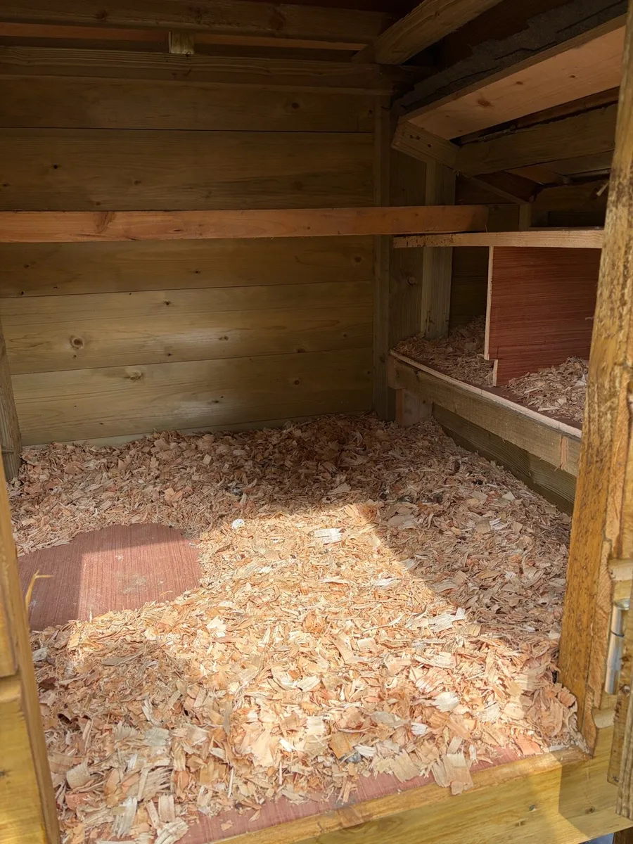Chicken coop - Image 2