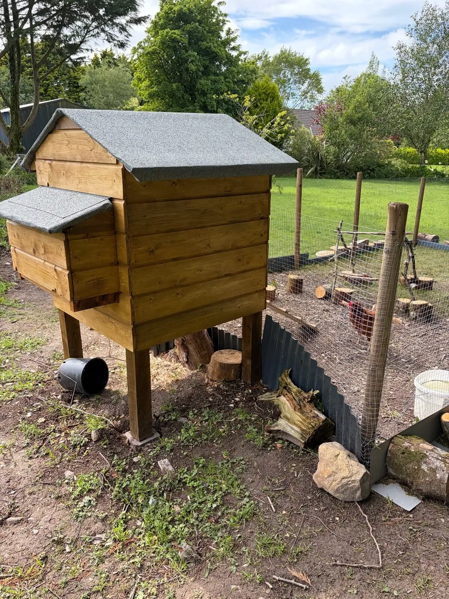 Chicken coop - Image 4