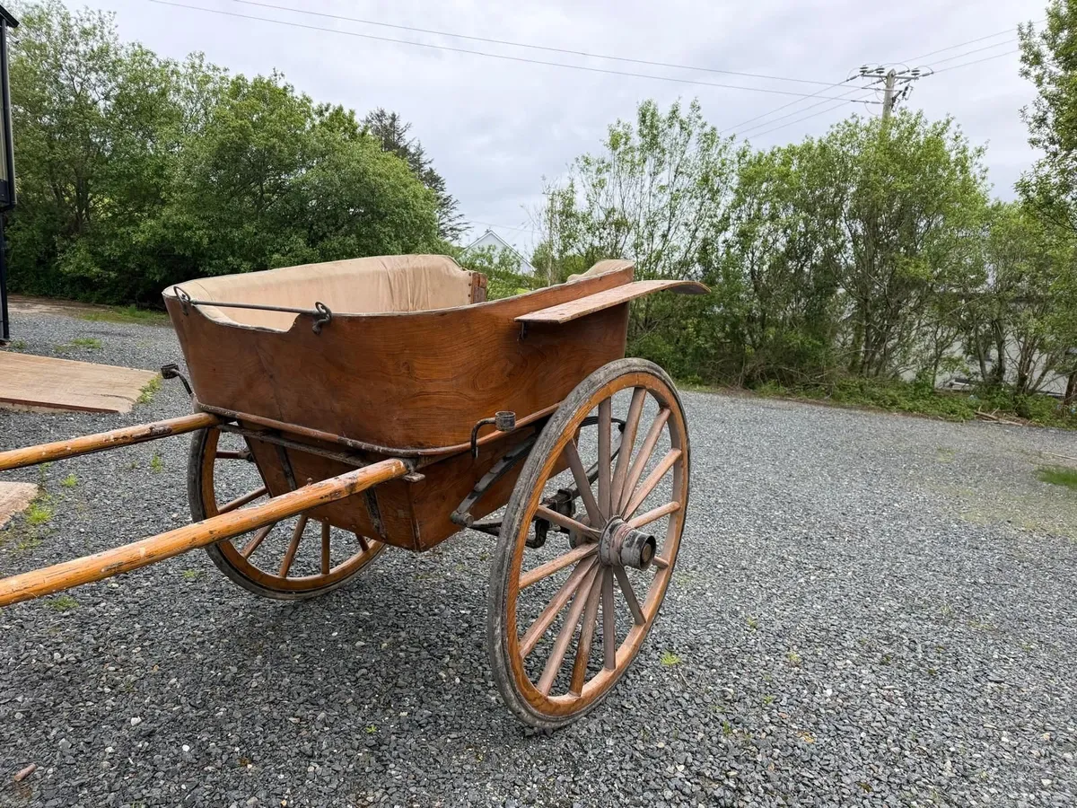 Horse/Pony Trap - Image 1