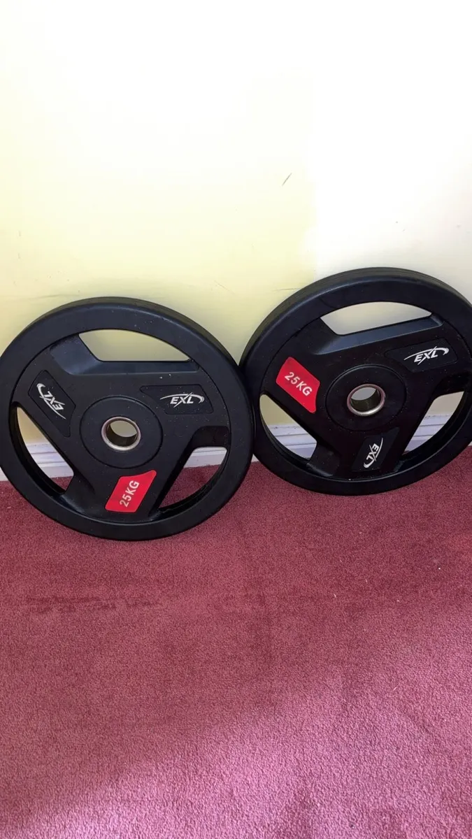 25kg Rubber weight plates pair - Image 1