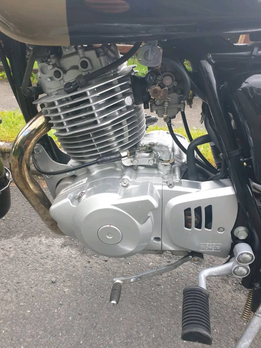 Hearld Cafe 250cc - Image 4