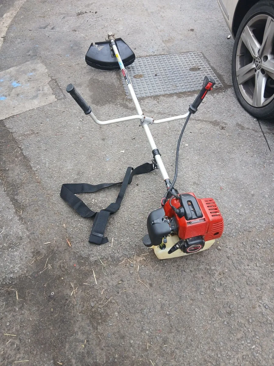 Grass strummers running 100-percent priced - Image 2