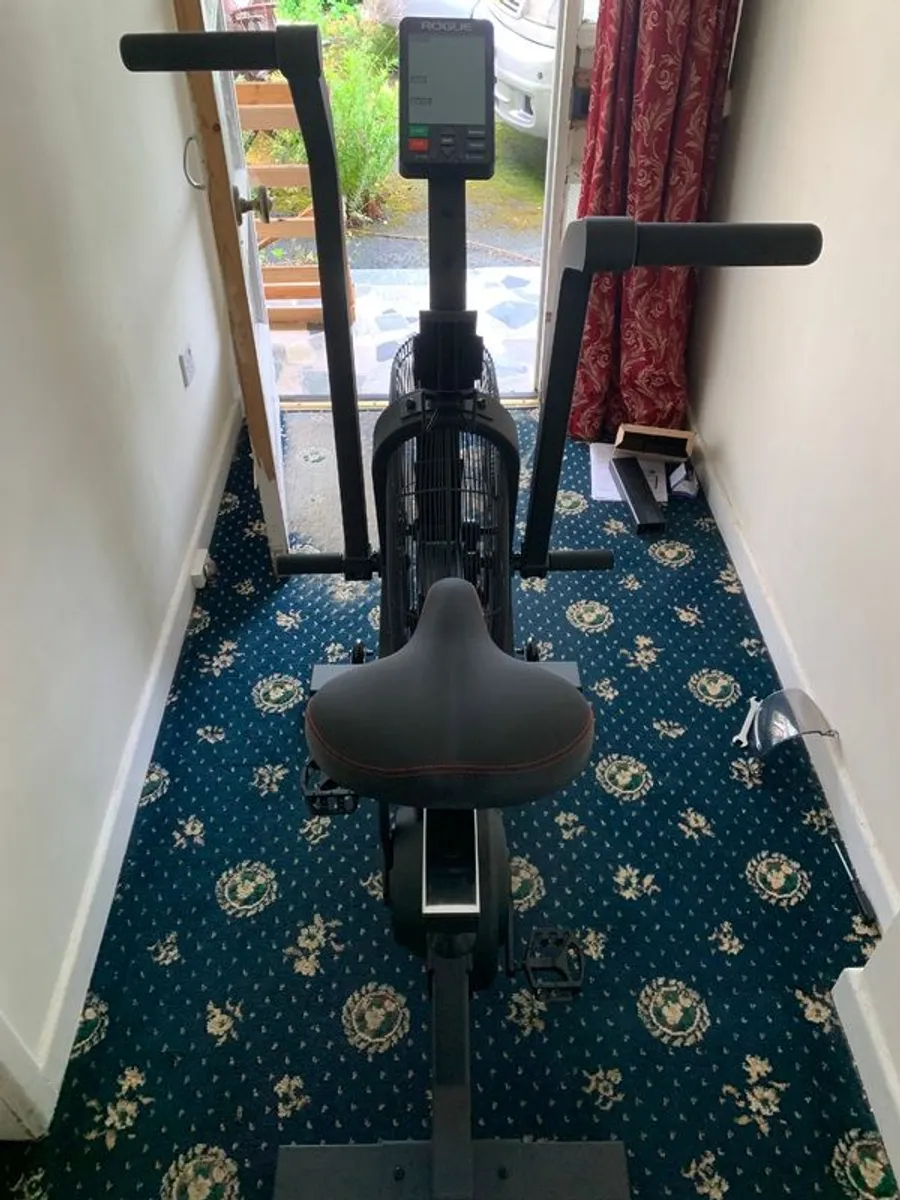 Rogue Echo Bike - Image 2