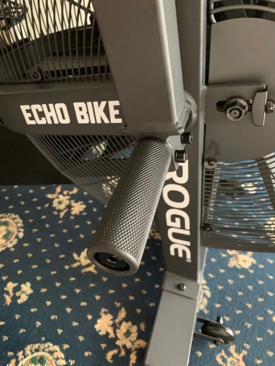 Rogue Echo Bike - Image 1