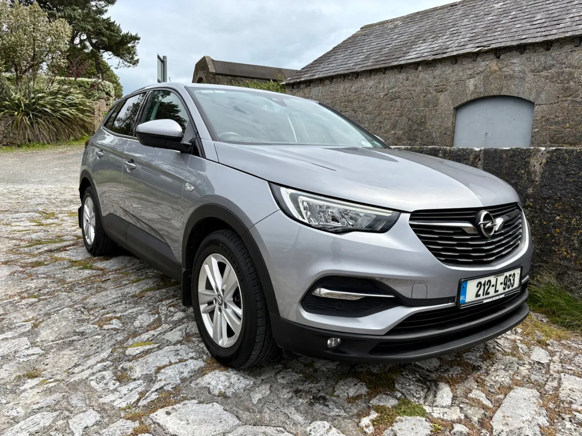 2021 Opel Grandland X - Image 2