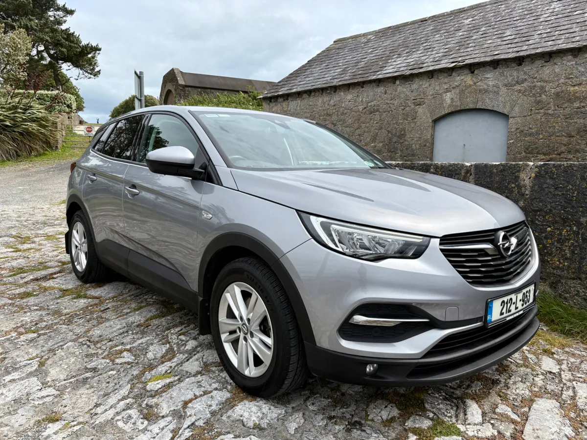 2021 Opel Grandland X - Image 1
