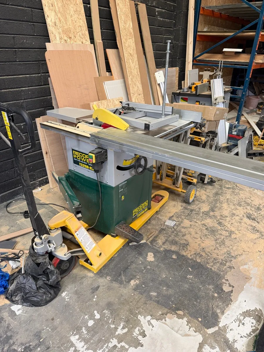 Record power TS250-RS Panel saw single phase - Image 3