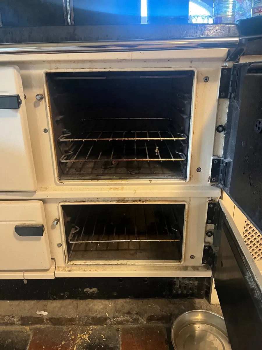 Stanley twin series oil cooker - Image 1