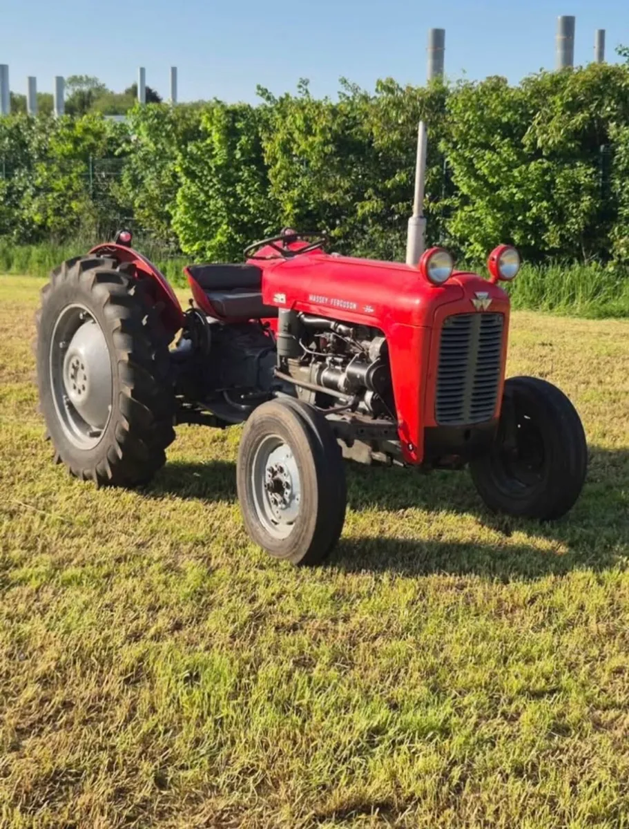 1960 Massey Ferguson - Image 1