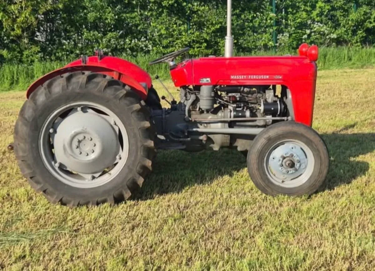 1960 Massey Ferguson - Image 2